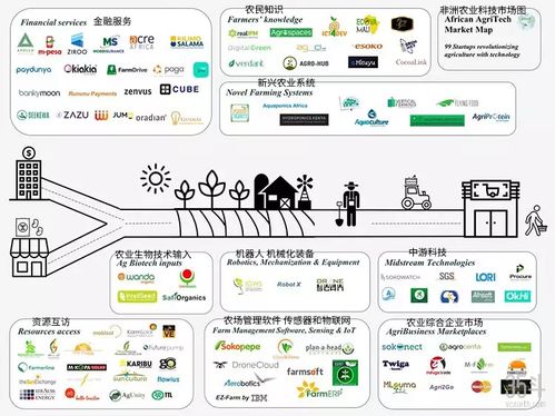 非洲農業(yè)科技新浪潮 聚焦種植決策、供應鏈與金融服務的數字化轉型